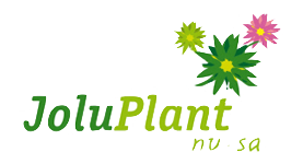 JoluPlant
